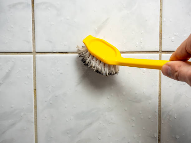 Best Professional Mold Removal  in Waverly, IA